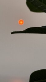 DaNangSunRise061519042026.jpeg