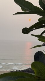IMG_5579.jpeg