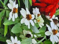 2024 Pattaya 043.jpg