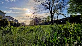 20260420_080834.jpg