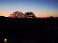 20260423_052639.jpg