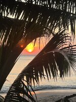 IMG_2340.jpeg