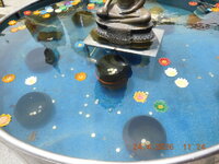 DSCN0347.JPG