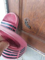 20260424_180018.jpg