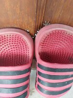 20260424_180106.jpg