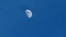 20260425_200734.jpg