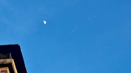 20260425_200722.jpg