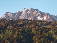 IMG_20260426_064306 (002).jpg