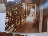 DSCN8649.JPG