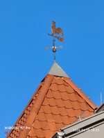 IMG_20260425_183324.jpg