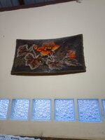 IMG_20251208_174501_834.jpg