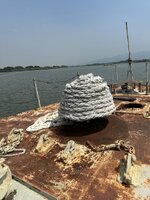 IMG_8390.jpeg