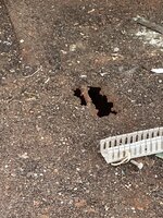 IMG_8394.jpeg