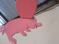 DSCN7620.JPG