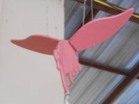 DSCN7618.JPG
