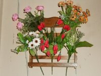 DSCN7610~2.JPG