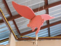 DSCN7619.JPG