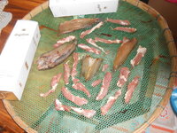 DSCN7016.JPG