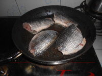 DSCN6699.JPG