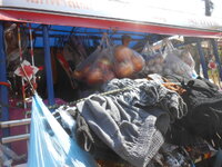 DSCN6728.JPG