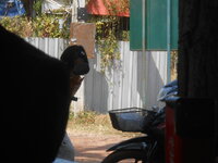 DSCN6944.JPG
