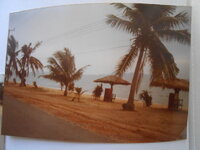 DSCN8618.JPG