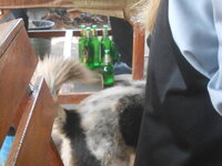 DSCN6949.JPG