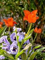 IMG_20260429_104127.jpg