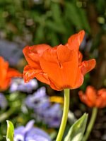 IMG_20260429_104221.jpg
