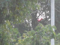 DSCN6845.JPG