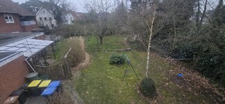 20260324_070833.jpg