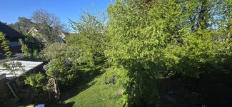 20260429_173927.jpg