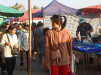 DSCN6817.JPG