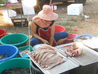 DSCN6814.JPG
