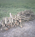 Image26559.jpg