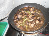 DSCN6929.JPG
