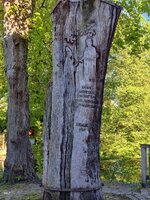 IMG_20260501_180333.jpg