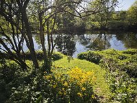 IMG_20260501_181807.jpg