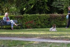 IMG_20260501_180916.jpg