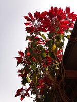 IMG_20260117_104659_535.jpg