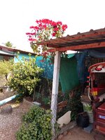 IMG_20260117_105118_934.jpg