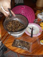 DSCN7084~2.JPG