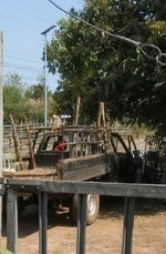 DSCN7200~2.JPG