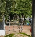 DSCN7200~3.JPG