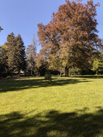 Image26594.jpg