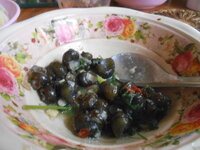 DSCN7248.JPG