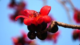 DSC01032.JPG