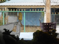 DSCN7220.JPG