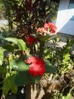 DSCN8124~2.JPG