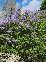 20260504_115516.jpg